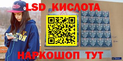 ПСИЛОЦИБИНОВЫЕ ГРИБЫ Свободный