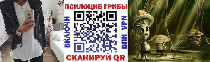 Псилоцибиновые грибы Cubensis  Северодвинск 